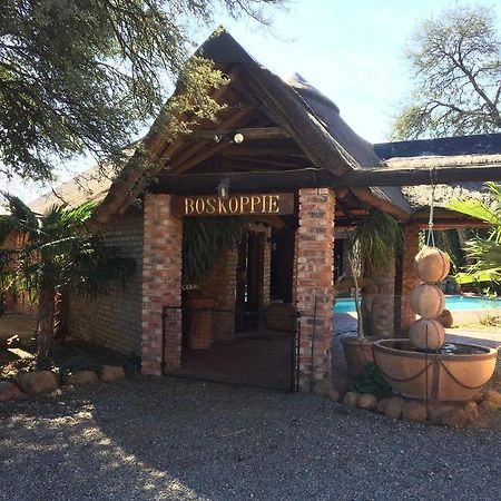 Boskoppie Lion & Tiger Reserve Kroonstad Exteriör bild