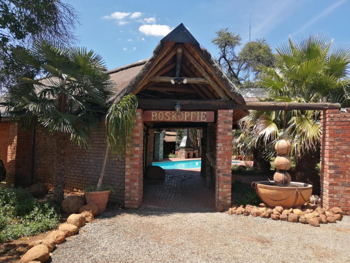 Boskoppie Lion & Tiger Reserve Kroonstad Exteriör bild