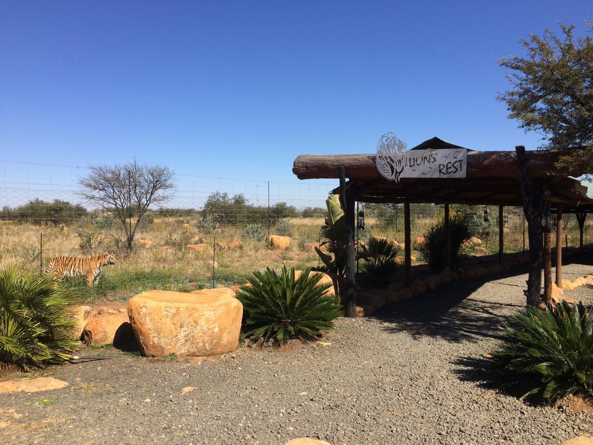 Boskoppie Lion & Tiger Reserve Kroonstad Exteriör bild