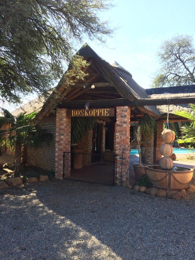 Boskoppie Lion & Tiger Reserve Kroonstad Exteriör bild
